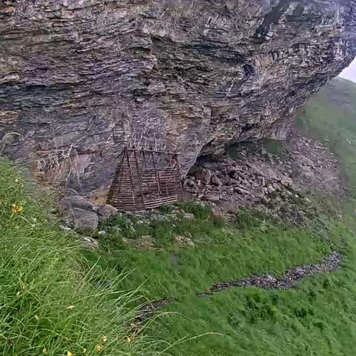 Schnappschuss der Webcam von der Steinbockfalle