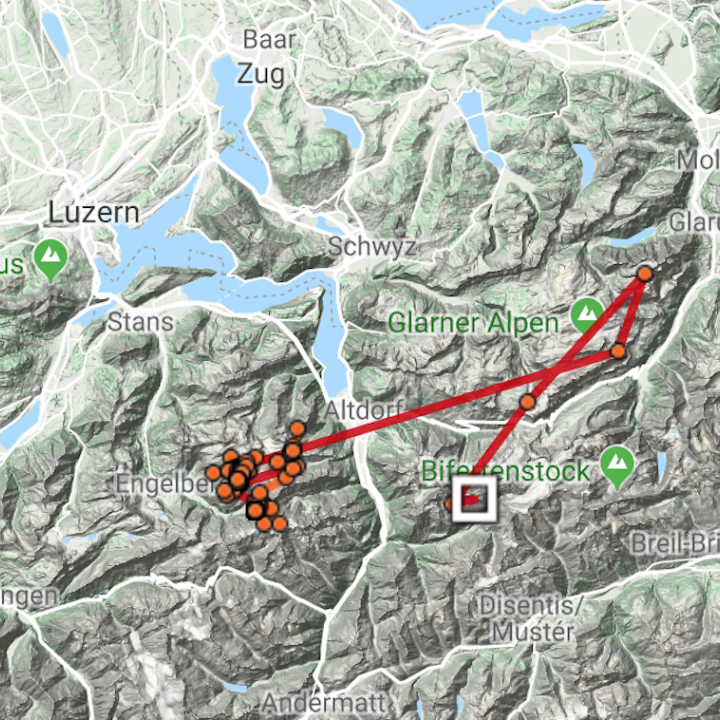 Karte mit den GPS-Daten der letzten 48h von Bartgeier Fredueli, wobei das weisse Viereck die letzte Position darstellt