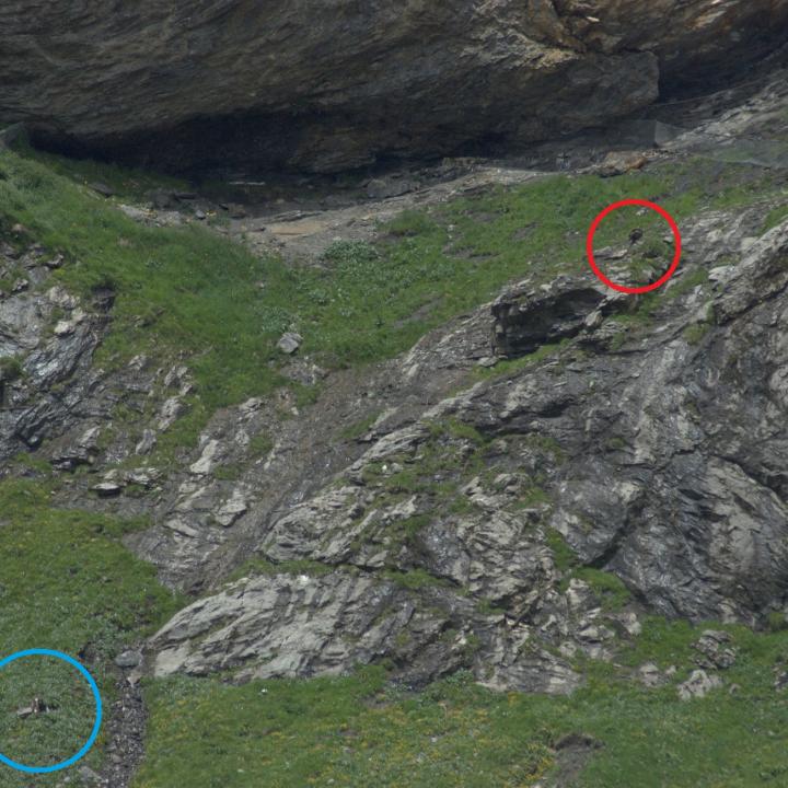 BelArosas Standort nach seinem Erstflug unterhalb der Nische. BelArosa blauer Kreis, Donna Elvira roter Kreis. 