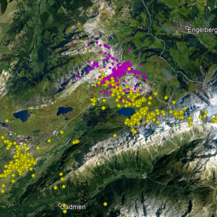 GPS Punkte im August von BelArosa (gelb) und Donna Elvira (pink)