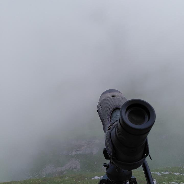 Blick durch den Nebel Richtung Auswilderungsnische