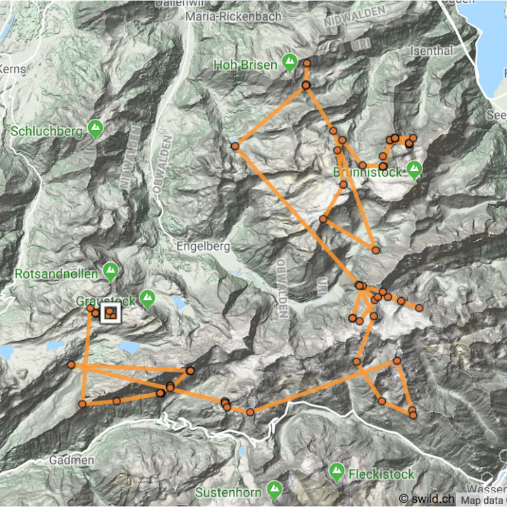 Karte mit den GPS-Positionen der vergangenen 48 Stunden von Johannes, wobei sich die jüngsten Daten beim weissen Viereck befinden. Dort ist ebenfalls der Auswilderungs-Standort