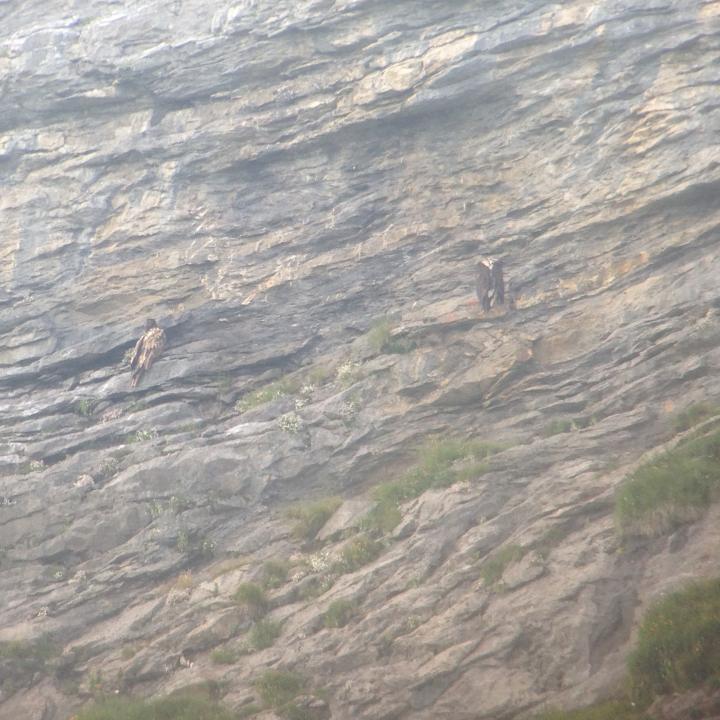 Fredueli (rechts) nach einer gekonnten Landung in einer Felswand neben Johannes