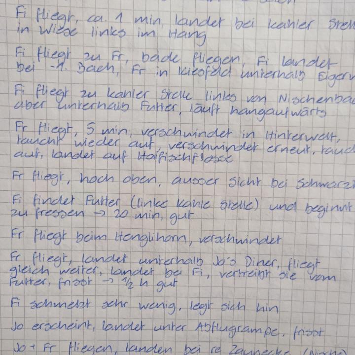 Auszug aus dem Bartgeier-Tagebuch wo alle Bewegungen von Finja und Fredueli und teilweise von Johannes protokolliert werden. 