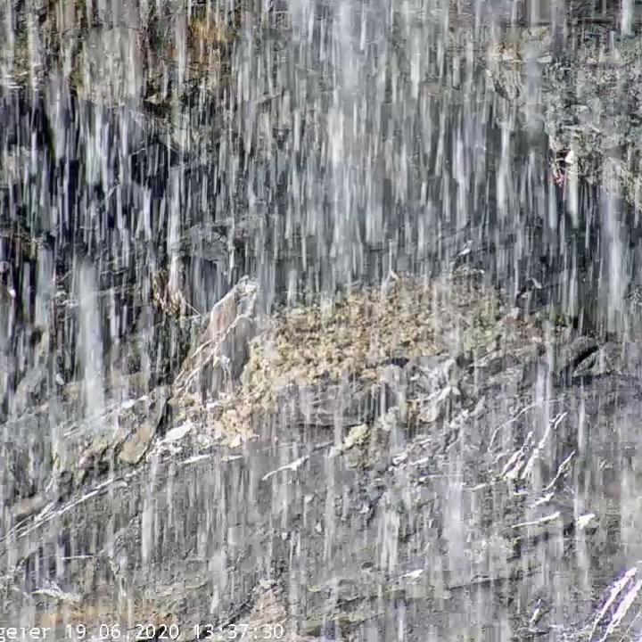 Der Blick durchs Schneegestöber auf Luzerna und Fortunat im Trockenen (Webcam Bild)