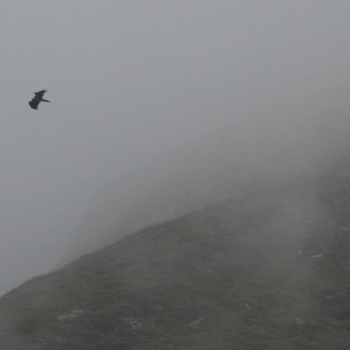 Donna Elvira bei ihrem Flug aus dem Nebel. 