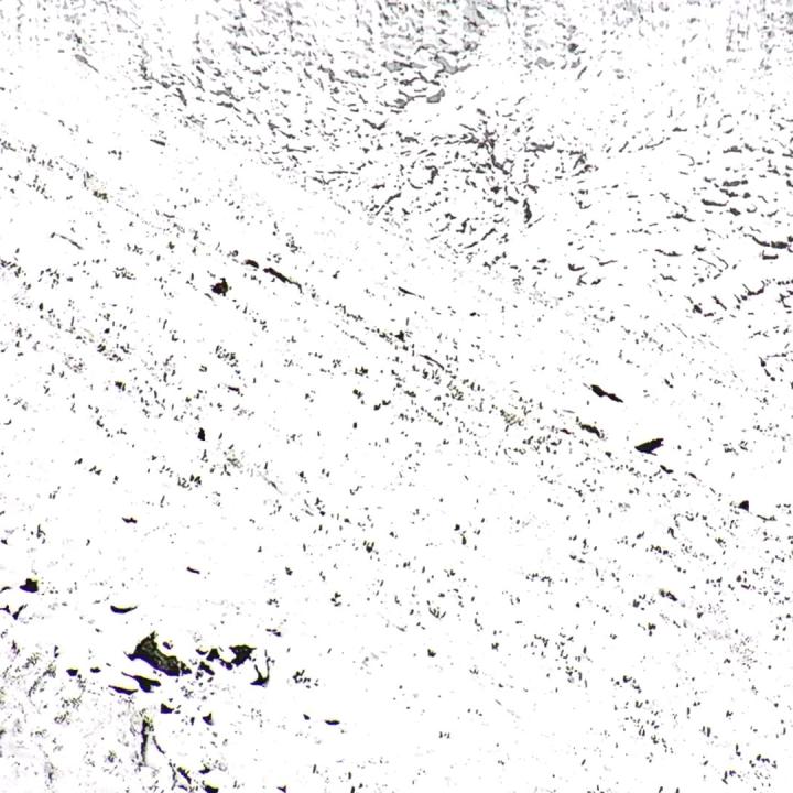 Bartgeier Obwaldera landet im Neuschnee