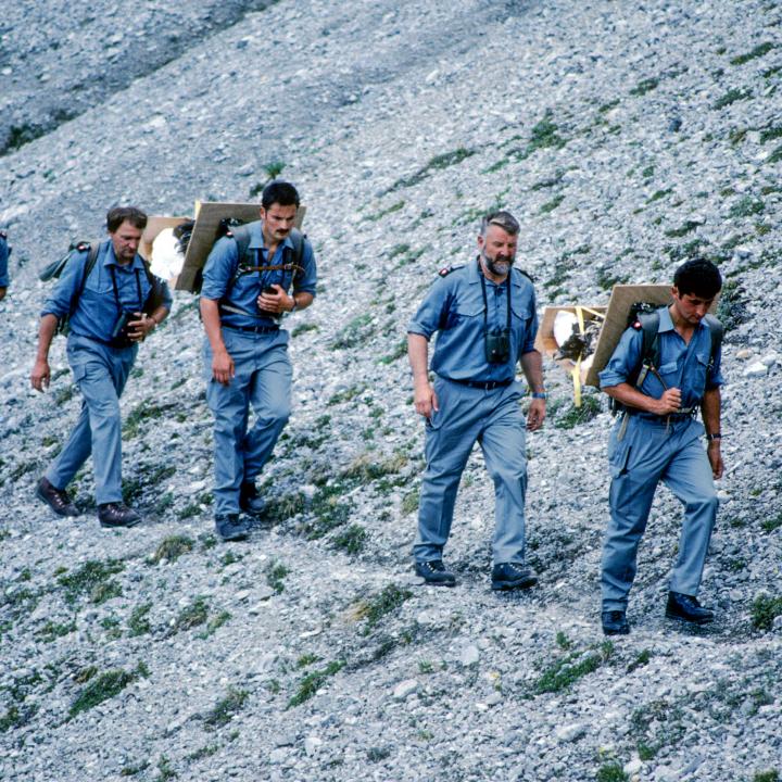 Parkwächter des Schweizerischen Nationalparks tragen junge Bartgeier zur Auswilderungsnische in der Val Stabelchod (c) Schweizerischer Nationalpark