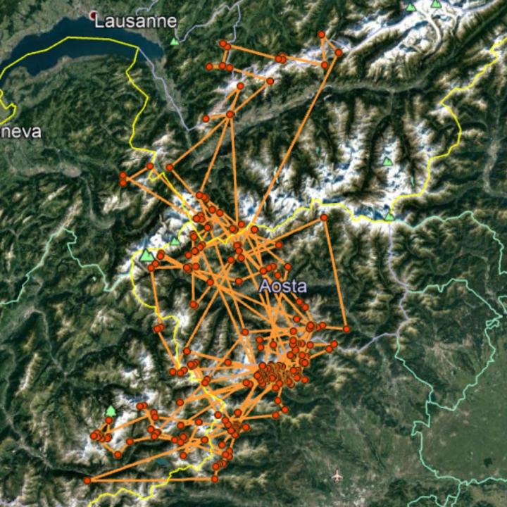 Die Anhäufung der orangen GPS-Positionen (südlich von Aosta) zeigt: Ewolina war 2017 vor allem im Gran Paradiso-Gebiet in Italien unterwegs. 