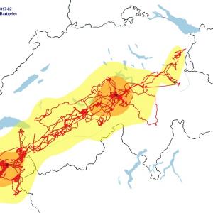 Bisherige Flugstrecke von Alois. Insgesamt hat sich Alois in der Hälfte der Zeit in der Auswilderungsregion und in Hochsavoyen aufgehalten (s. orange Flächen).