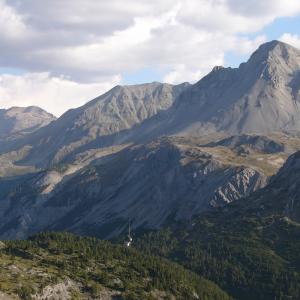Heute liegen fünfzehn der insgesamt 56 Brutterritorien in den Alpen im Kanton Graubünden. (c) Daniel Hegglin