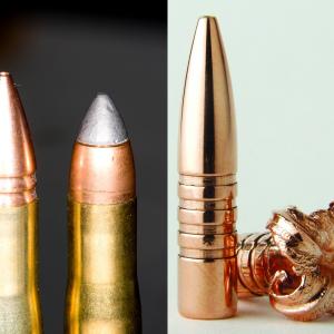 Bleifreie Munition, wie zum Beispiel Kupfer‐Deformationgeschosse,findet eine immer grössere Verbreitung. (c) Claudio Gotsch