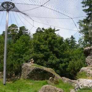 Volière im Natur- und Tierpark Goldau in der Schweiz mit einem Bartgeier-Zuchtpaar, deren Nachkommen wichtig sind für die Wiederansiedlung. 