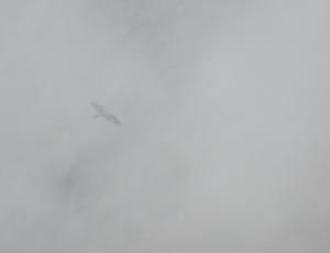 Johannes mitten im Nebel