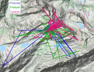 Karte der GPS-Daten aller drei Bartgeier, die sich zur Zeit am Henglihang aufhalten (Daten seit 27. Juli).