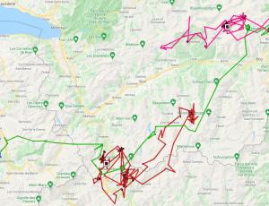 Karte mit den Strecken und Aufenthaltsorten von Finja (pink), Fortunat (blau), Fredueli (grün), Luzerna (pink). 
