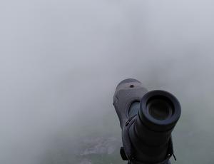 Blick durch den Nebel Richtung Auswilderungsnische