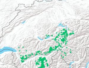 GPS Daten von Luzerna von Januar bis Mai 2021